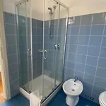 Domus